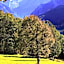Hotel Arenas de Cabrales- apartamentos