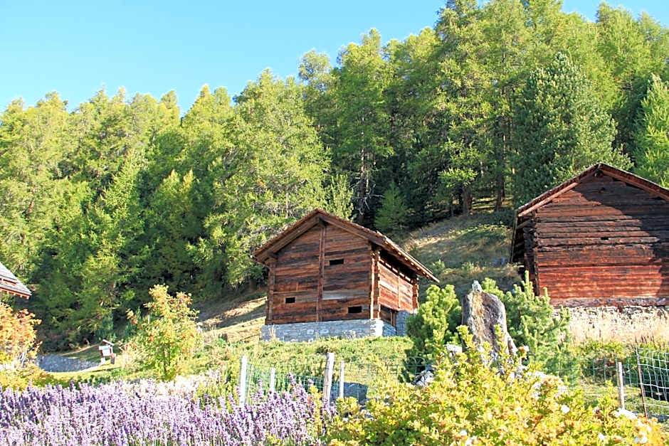 Chandolin Boutique Hotel