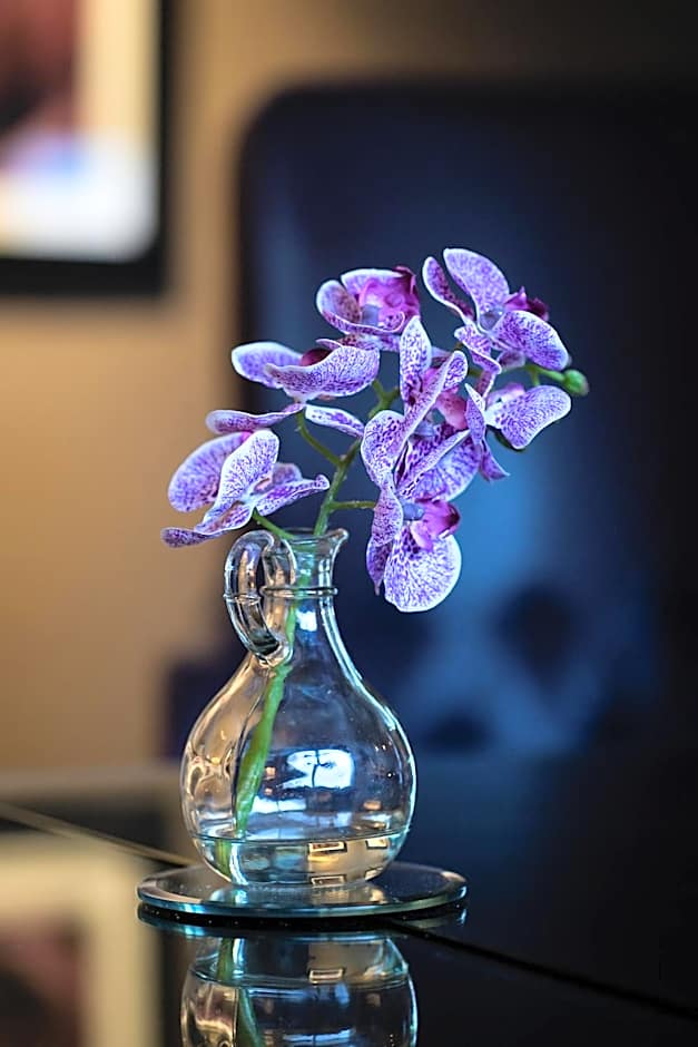 Ballyrobin Country Lodge