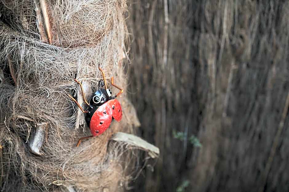 Blenheim Palms Motel