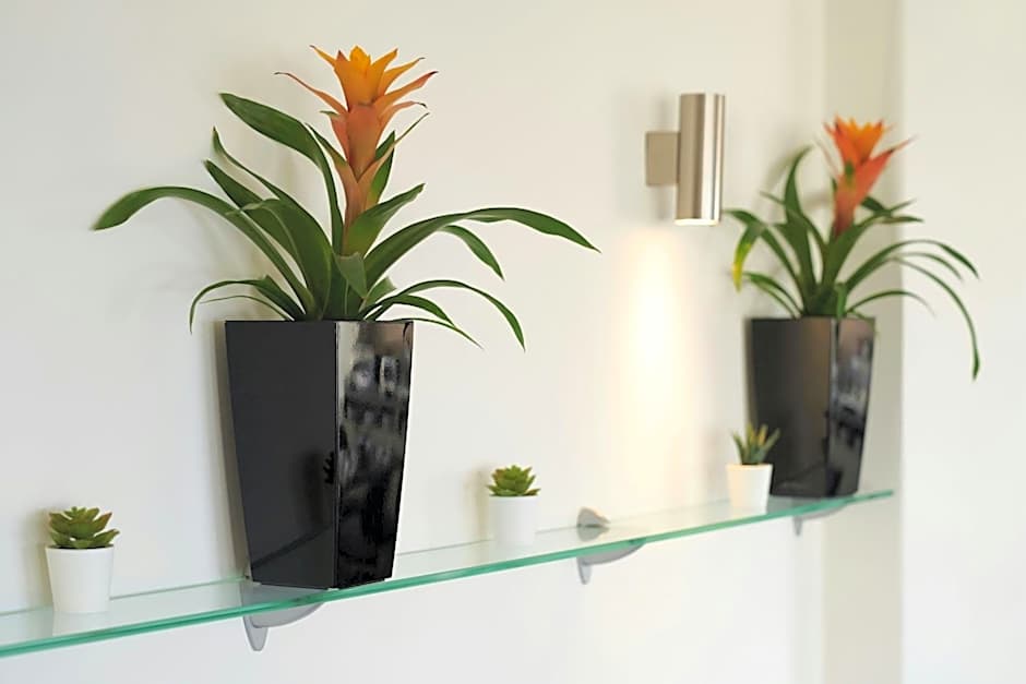 Four Points Flex Brighton