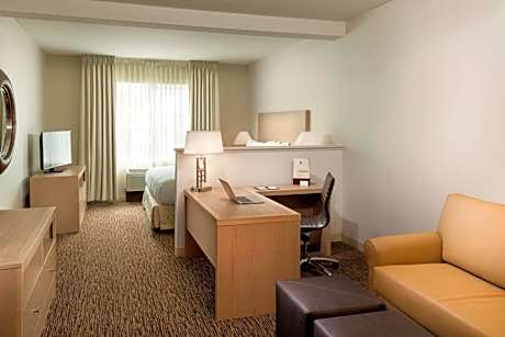 1 King Bed