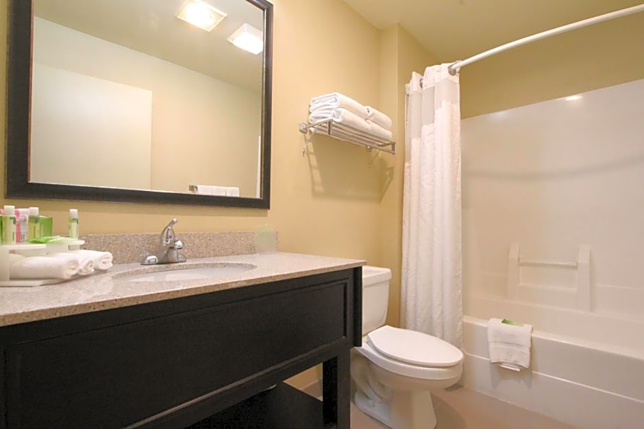 Holiday Inn Express Hotel & Suites Chicago-Libertyville By IHG