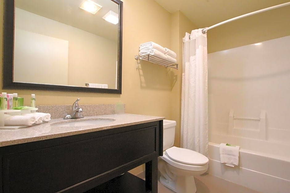 Holiday Inn Express Hotel & Suites Chicago-Libertyville