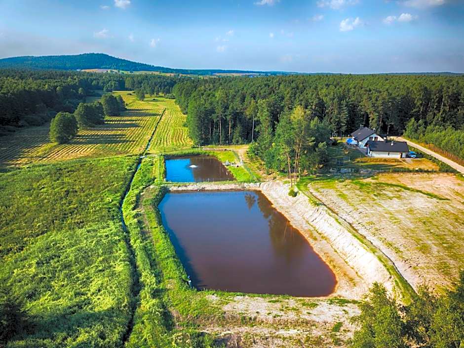 Komfortowy Leśny Dworek