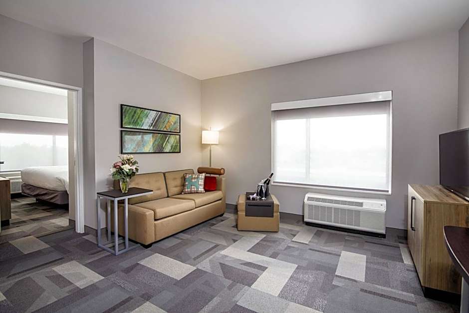 TownePlace Suites by Marriott Houston Hobby Airport