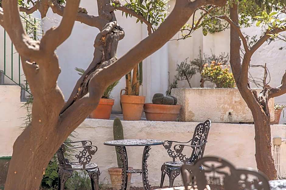 Il Sogno delle Benedettine