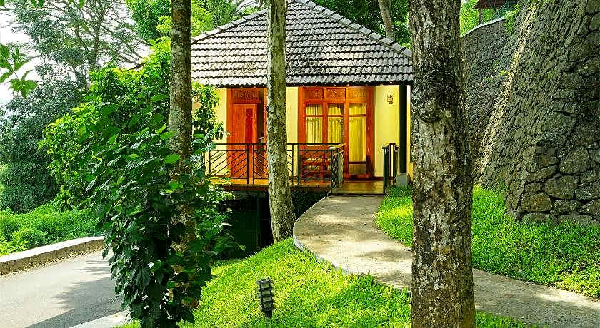 Forest Canopy Resort