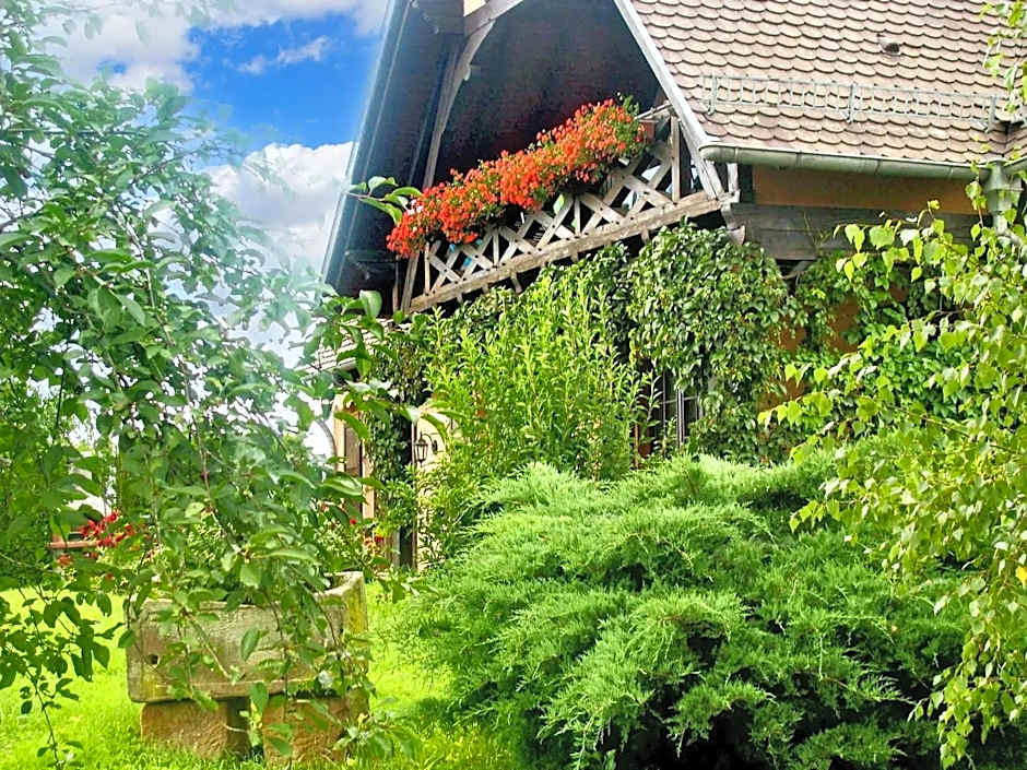 Appartement charmant à Hochfelden - 100 m² et parking gratuit