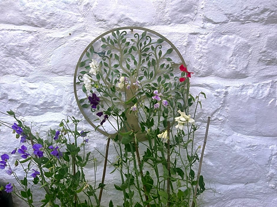 Y Felin Bed and Breakfast and Smallholding