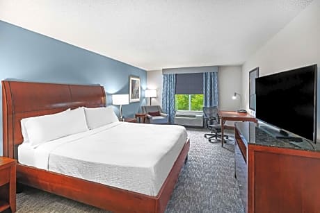 1 King Bed