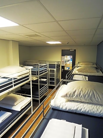 Single Bed in 12-Bed Dormitory Room