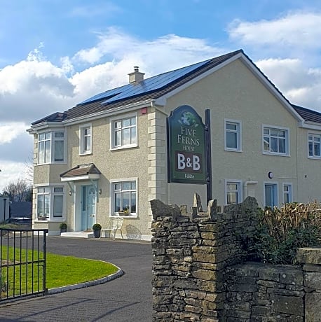 Five Ferns House