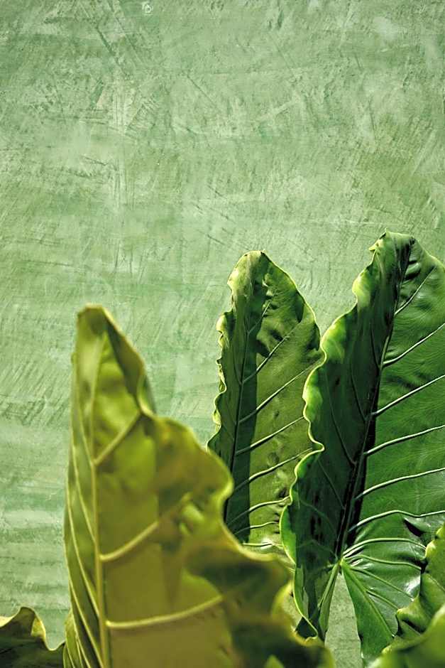 Punta Nayaá - Adults Only