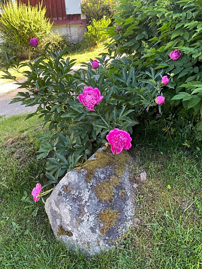 Unikt gårdshus i Gränna