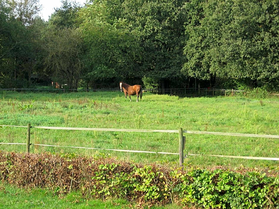 Rustpunt Groote Heide