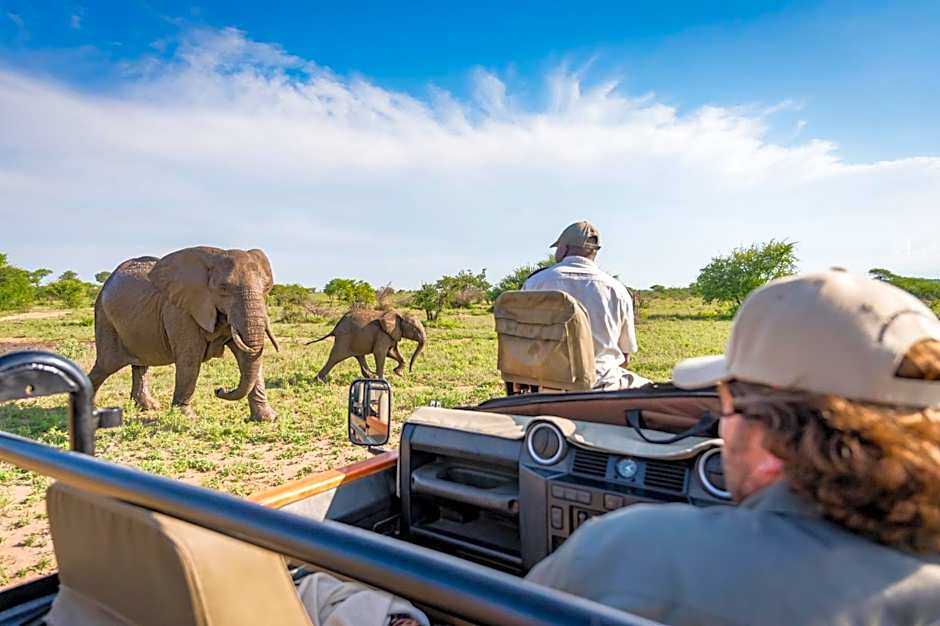 Kambaku Safari Lodge