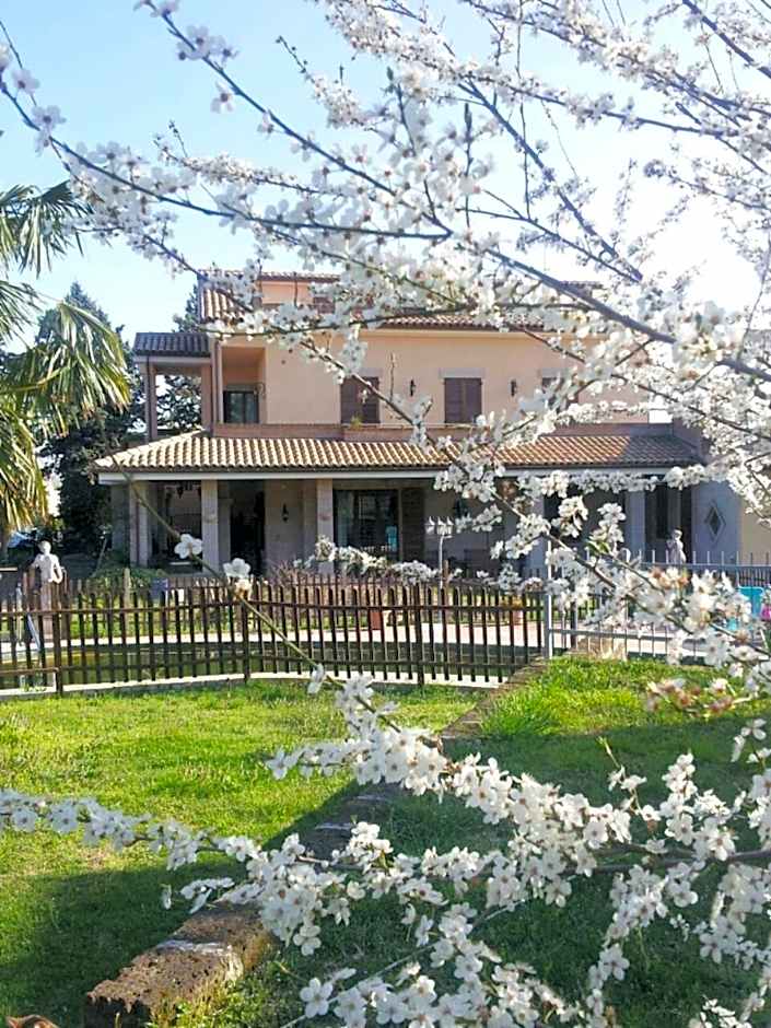 Luconi Affittacamere