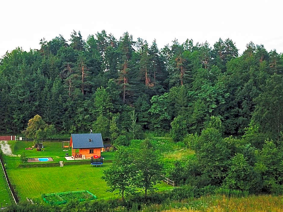 Domek Skowronek z basenem