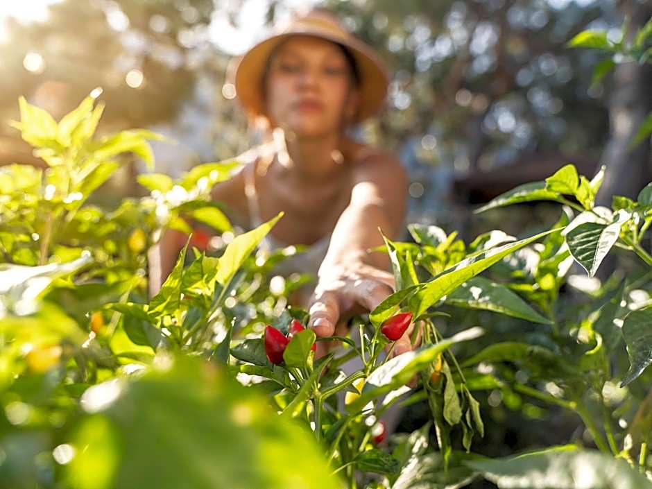BreakFree Peninsula Surfers Paradise