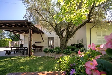 Trecentolivi B&b