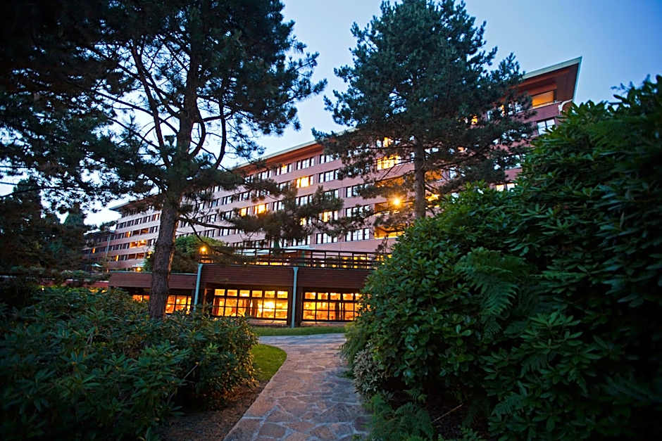 Disney Sequoia Lodge