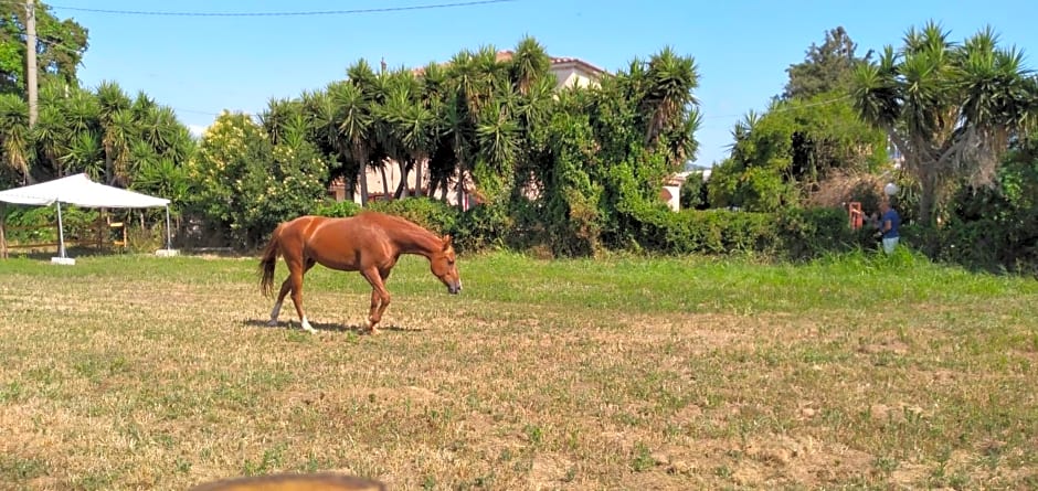 B&B Tenuta San Michele