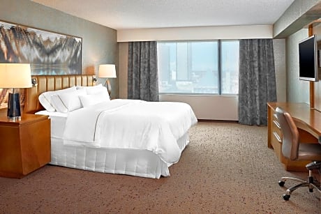 Deluxe, Larger Guest room, 1 King, City view, Deluxe Wing