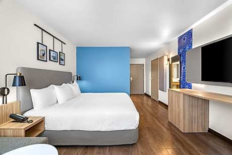 1 King Bed Accessible Deluxe Room Tub and Handheld Shower