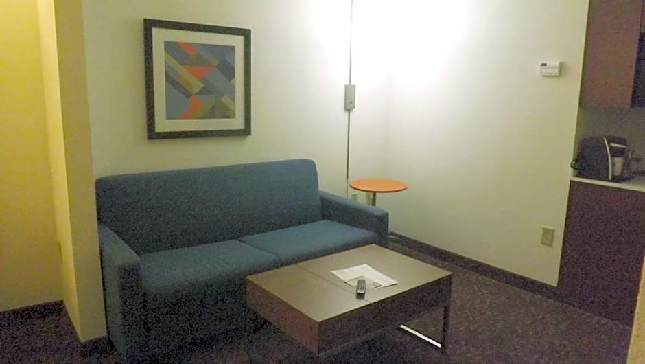 Holiday Inn Express Hotel & Suites Dyersburg By IHG