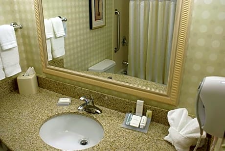 2 Queen Accessible Room with Bathtub