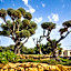 Luzmar Villas