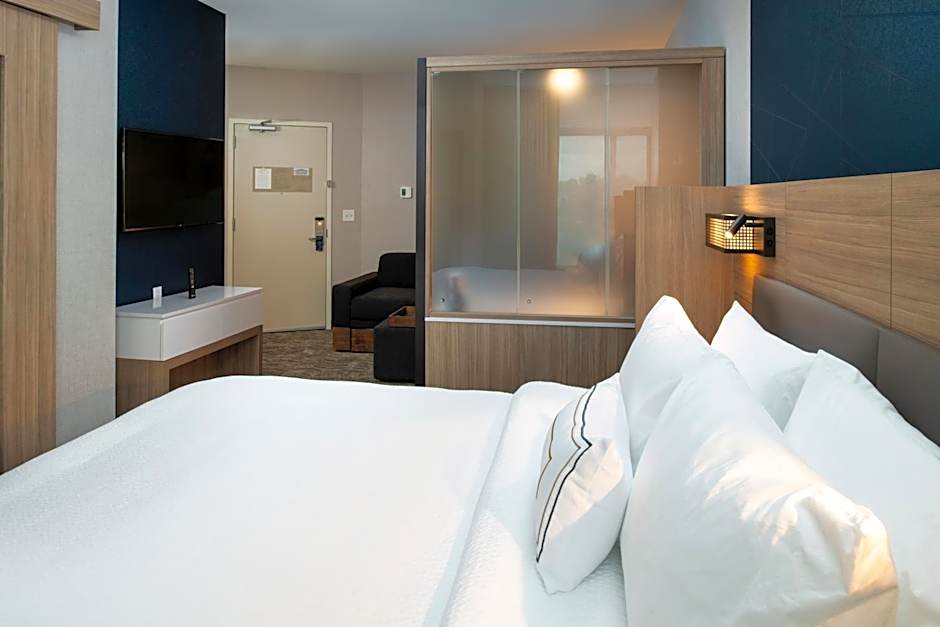 SpringHill Suites by Marriott Elizabethtown