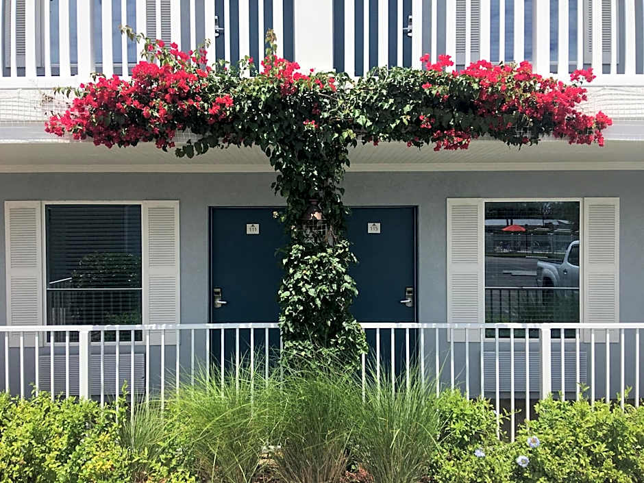 Quality Inn St Augustine Historic District Area