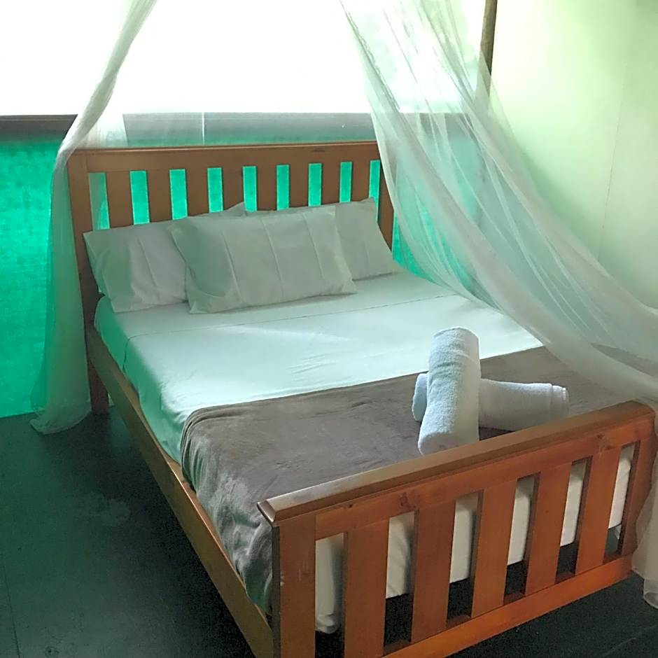 Foto 1 de 30 de Jungle Double Room with Shared Bathroom