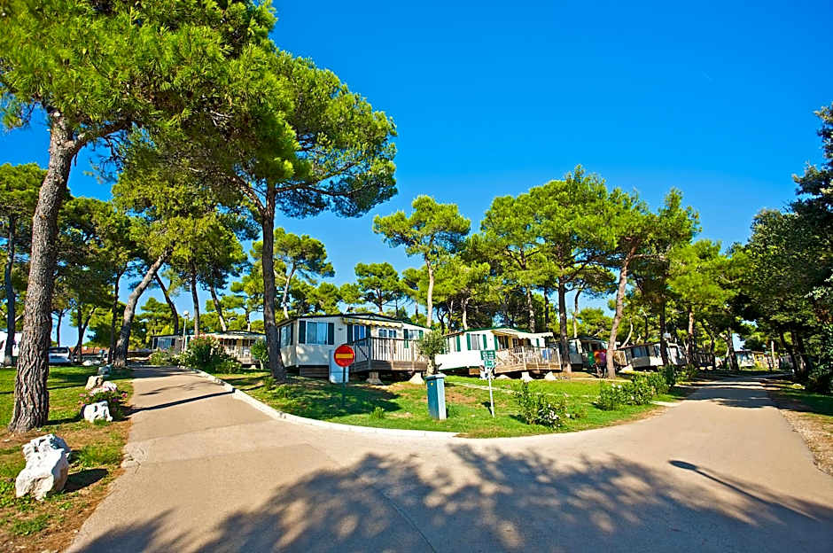 Arena Indije Mobile Homes