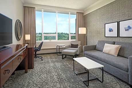 1 Bedroom Suite, 1 King, Sofa bed, Garden view