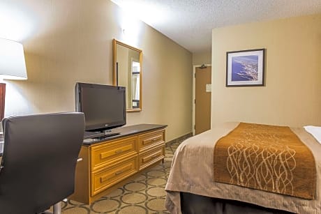 1 King Bed, Nonsmoking