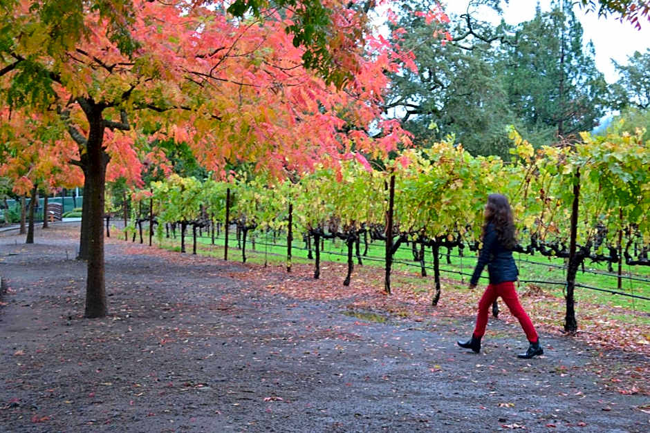 Chardonnay Lodge