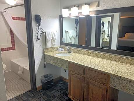 Deluxe Queen Studio Suite with Pool View - Non-Smoking