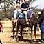 Riad Dia