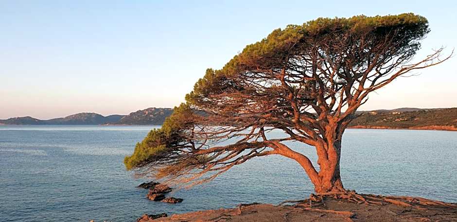 Résidence Liccia di Furu