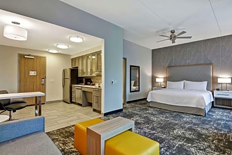 1 Kng Mobilty/Hearing Access Ri Shwr Studio Ns