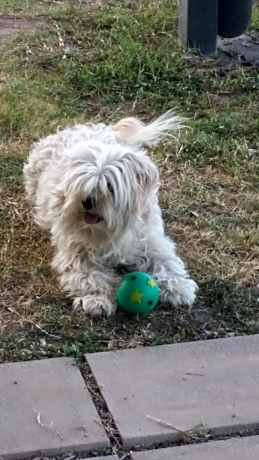 Country View Motel Ilbilbie