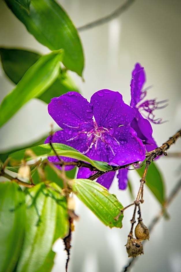 Family Hotel Gradia 1