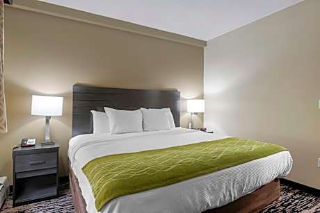 One-Bedroom King Suite with Sofa Bed