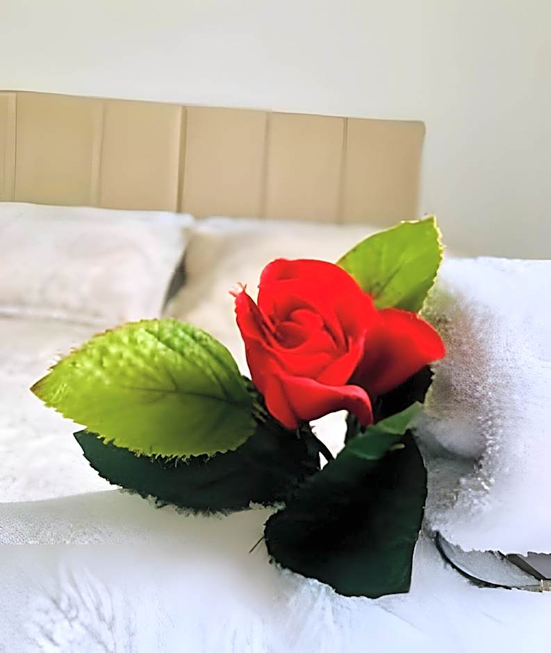 Studio BSB Nova Capital.