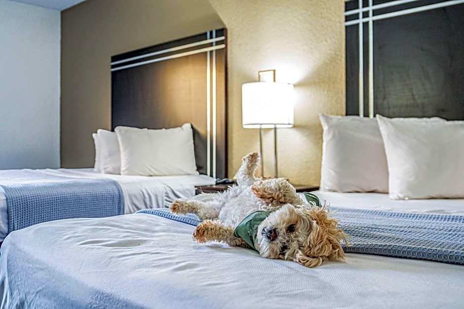 Econo Lodge Cleveland Southeast - Kent