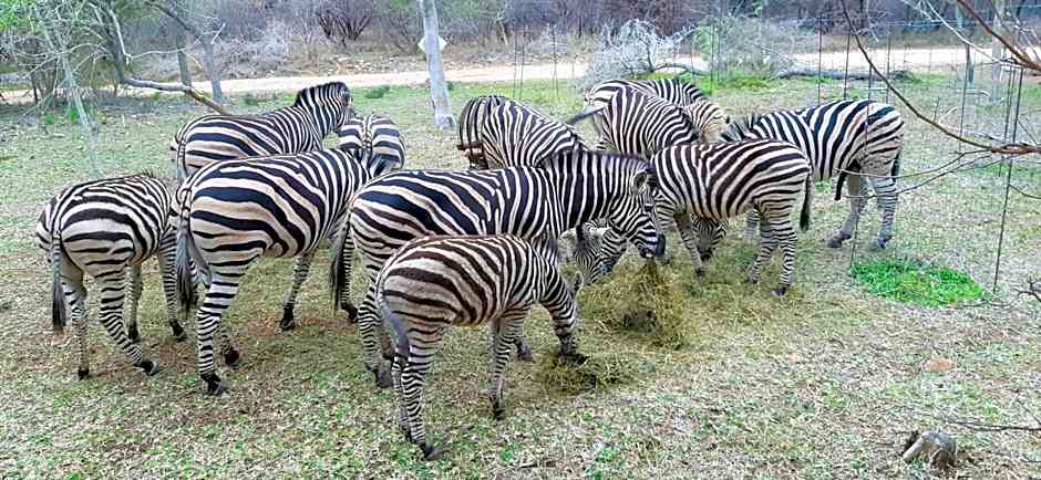 Kruger Riverside Lodge