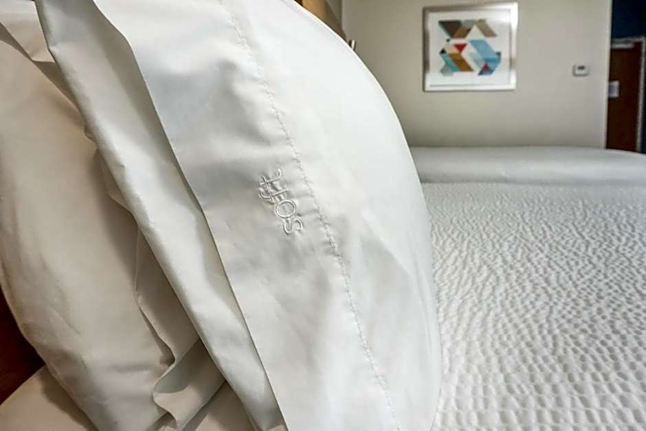 Holiday Inn Express & Suites Houston Westchase - Westheimer By IHG